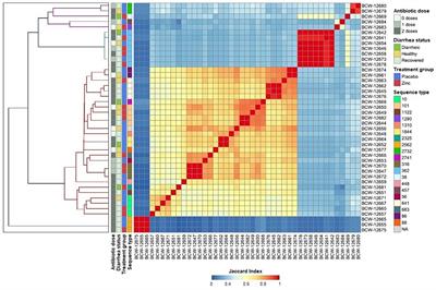 Whole genome sequence analysis reveals high genomic diversity and potential host-driven adaptations among multidrug-resistant Escherichia coli from pre-weaned dairy calves